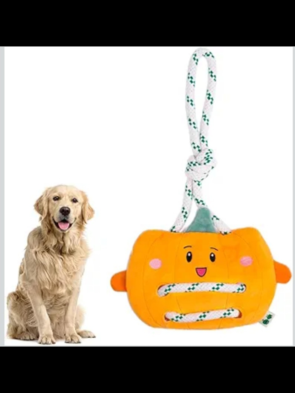 Green Sheep Stuffing Pumpkin 🐶 Dog Toy, Durable Plush Squeaky
